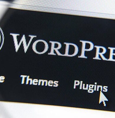 Skärm som visar WordPress.org huvudmeny